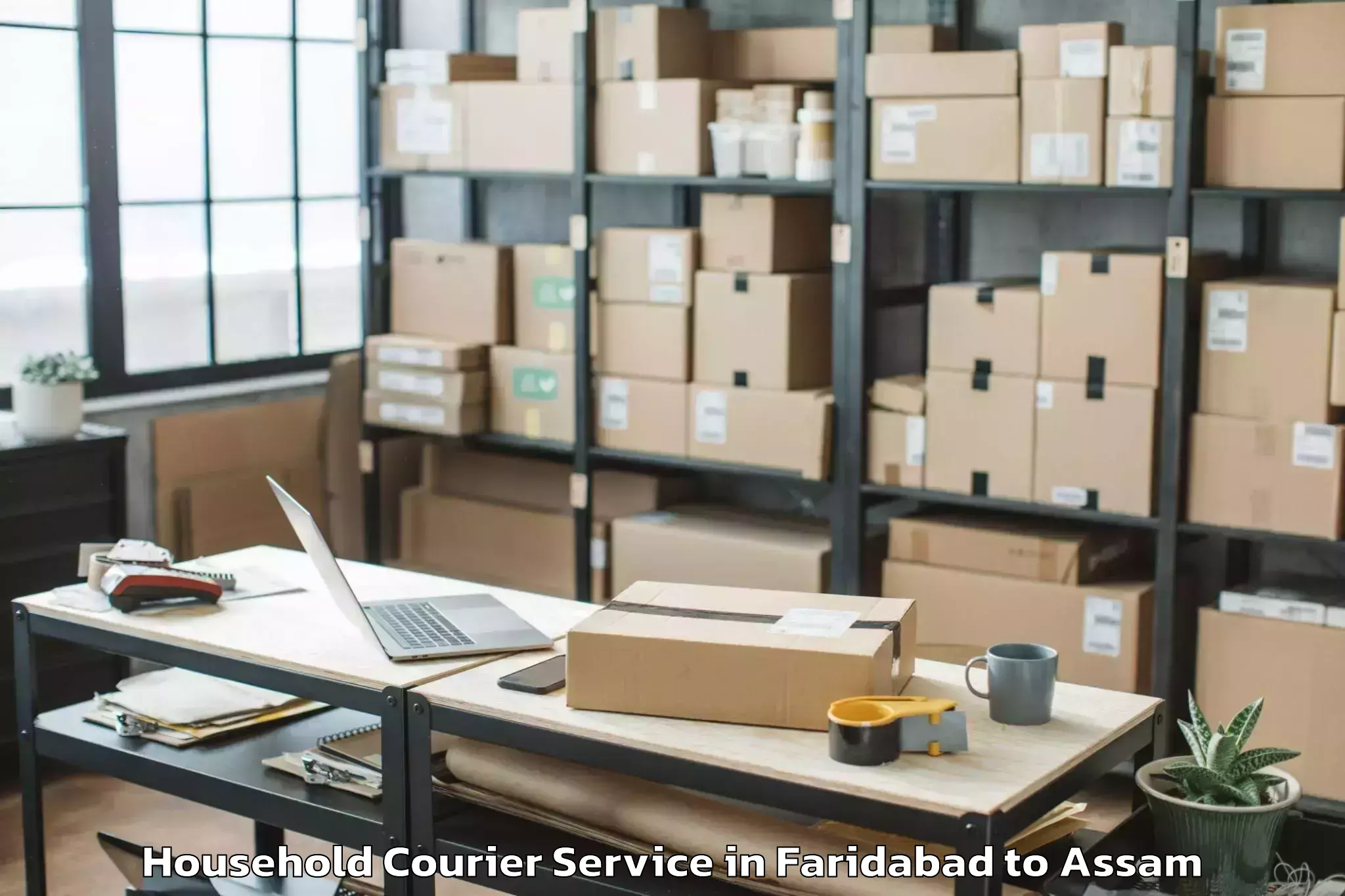 Leading Faridabad to Bokakhat Household Courier Provider